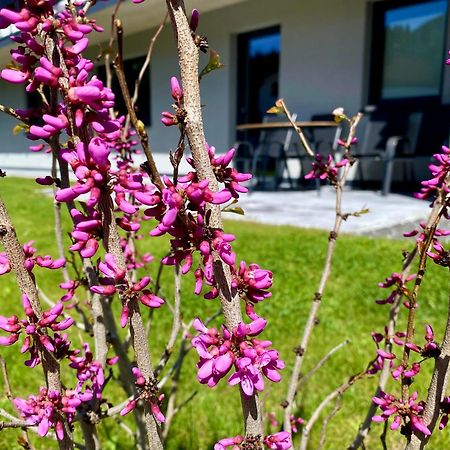 Apartment Bergfieber Fieberbrunn Εξωτερικό φωτογραφία